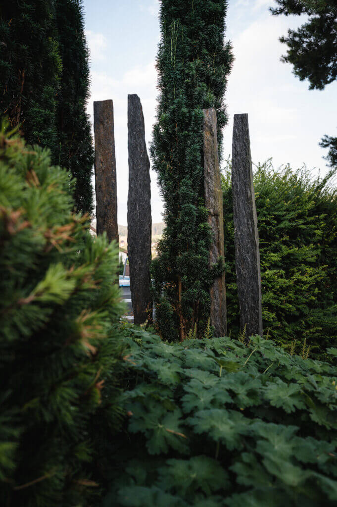 Gartenbau - Sichtschutz